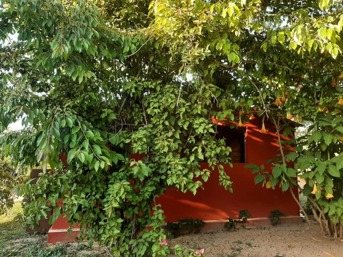 Casa Di Campagna Dal Pozzo Sorso Εξωτερικό φωτογραφία