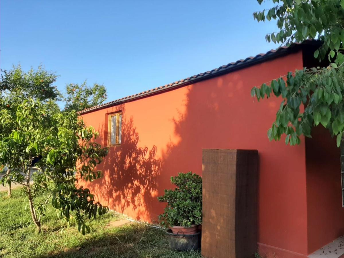 Casa Di Campagna Dal Pozzo Sorso Εξωτερικό φωτογραφία