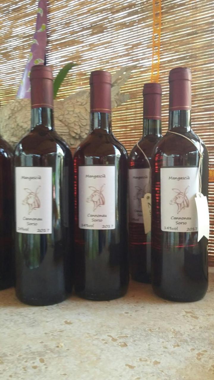Casa Di Campagna Dal Pozzo Sorso Εξωτερικό φωτογραφία