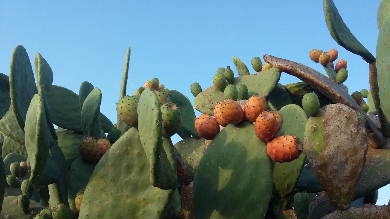 Casa Di Campagna Dal Pozzo Sorso Εξωτερικό φωτογραφία