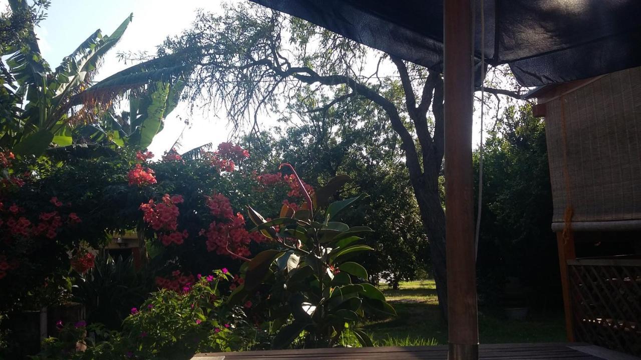 Casa Di Campagna Dal Pozzo Sorso Εξωτερικό φωτογραφία