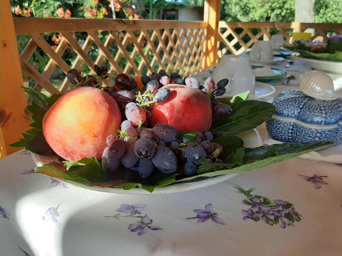 Casa Di Campagna Dal Pozzo Sorso Εξωτερικό φωτογραφία